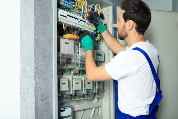 Best Electrical System Inspection  in Holladay, UT